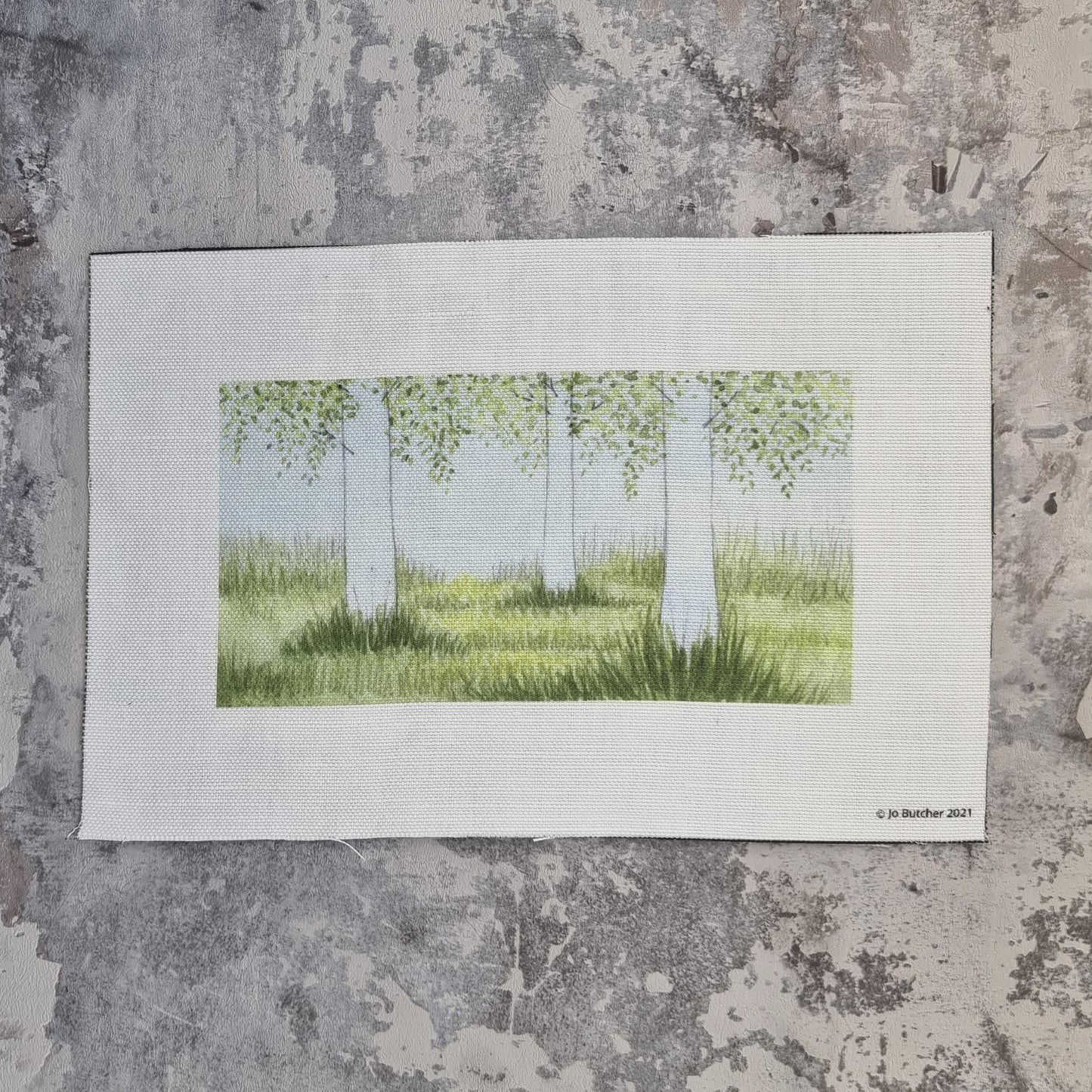 A rectangle of fabric printed with three silver birch tree trunks and a number of lower branches showing their leaves. Under the birches shaded areas of green are printed.