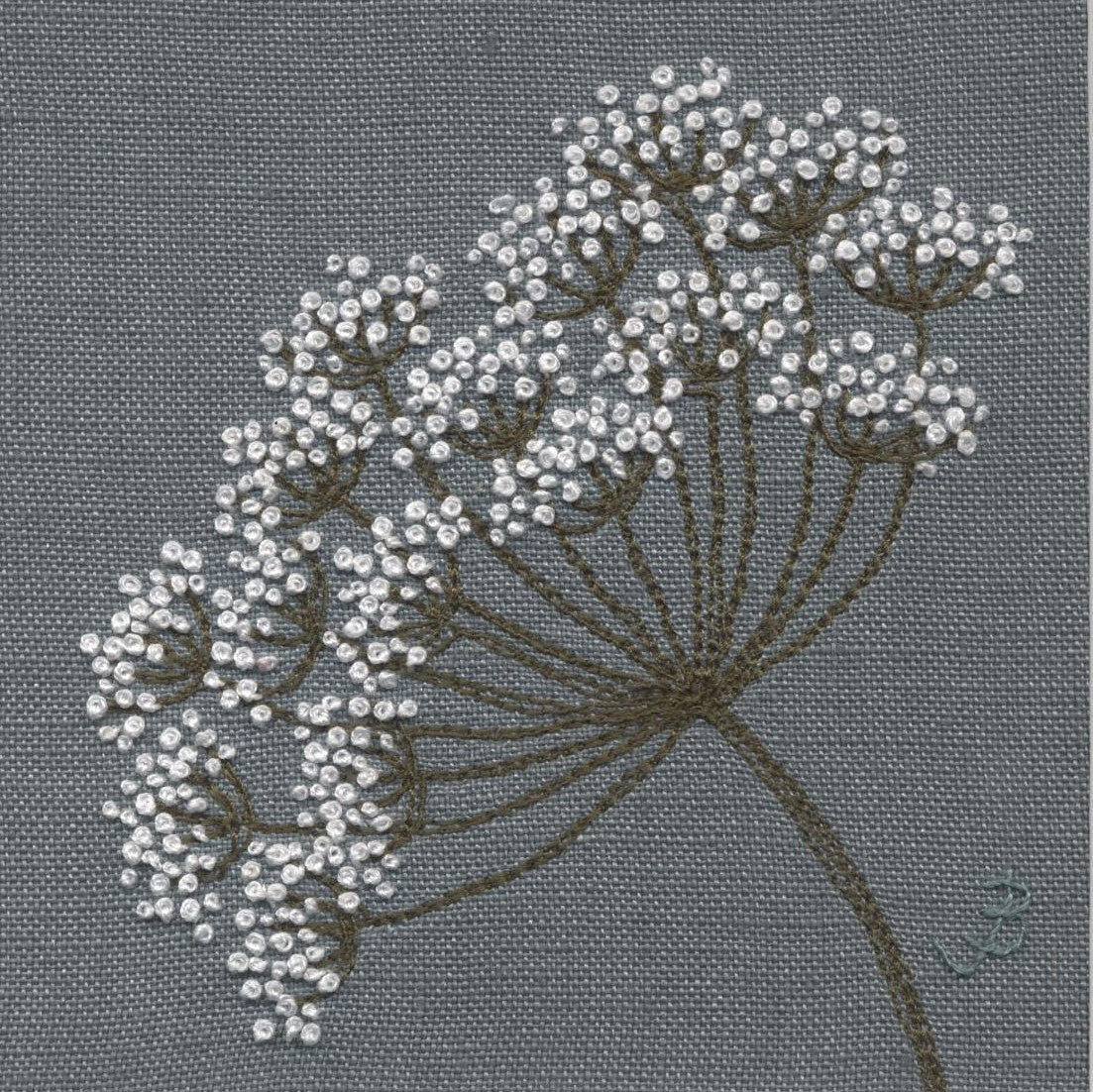 Cow parsley flower embroidered using white French knots on a grey linen background