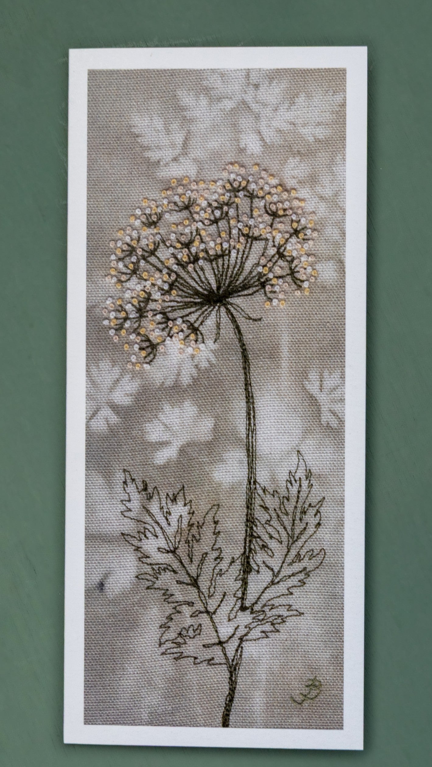 upright card of cow parsley seed head