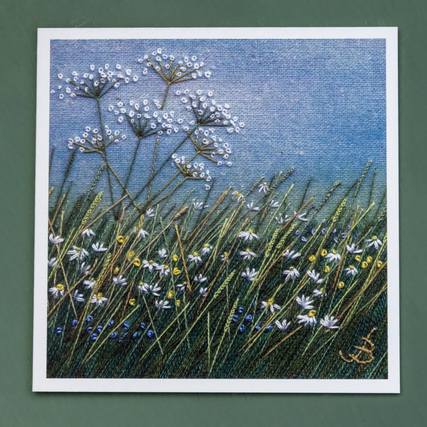 Daisies, buttercups and a clump of cow parsley in the meadow scene.