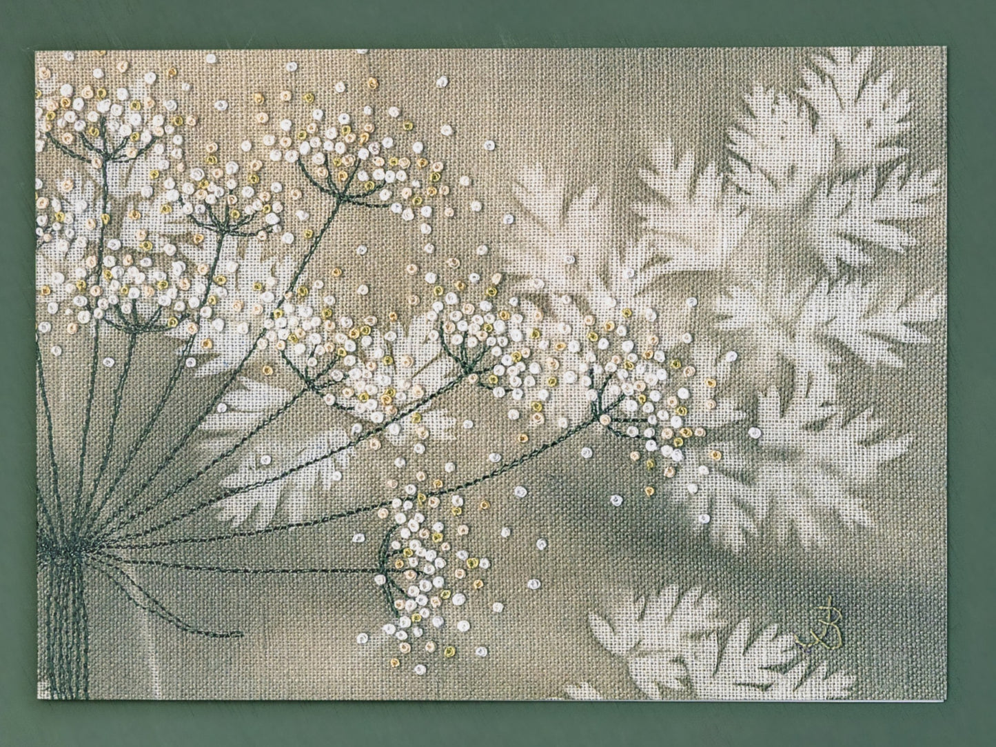 A cow parsley seed head on a painted background.