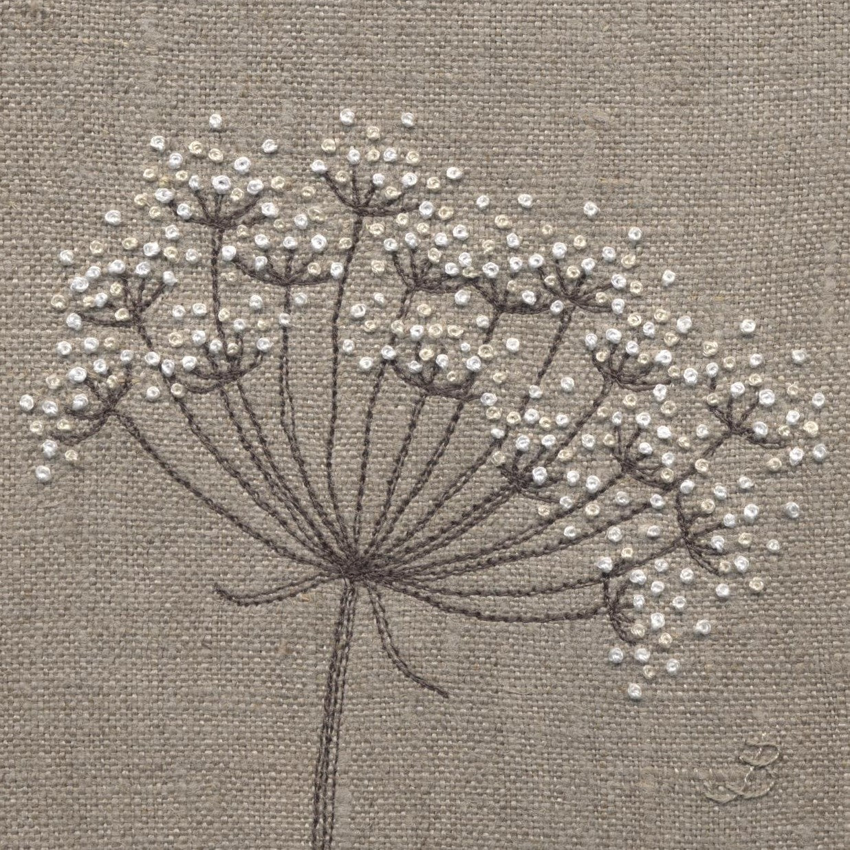 Hand embroidered classic white cow parsley seed head on a beige linen background
