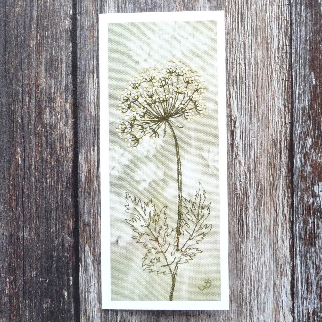 printed card of cow parsley seedhead embroidery by Jo Butcher