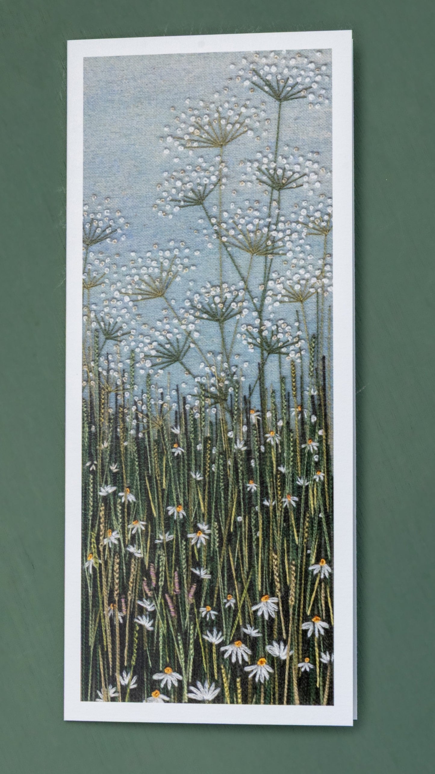 Upright card of cow parsley rising out of the grasses and daisies.