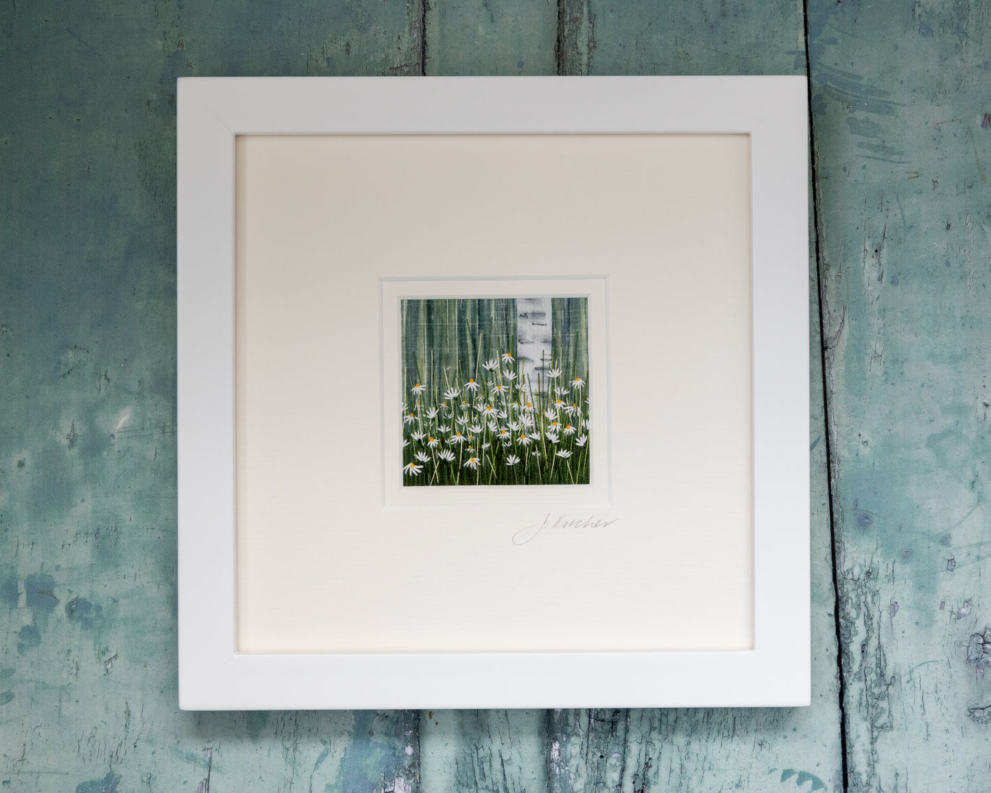 A white framed scene of a silver brich tree trunk rising from a mass of white flowering daisies.