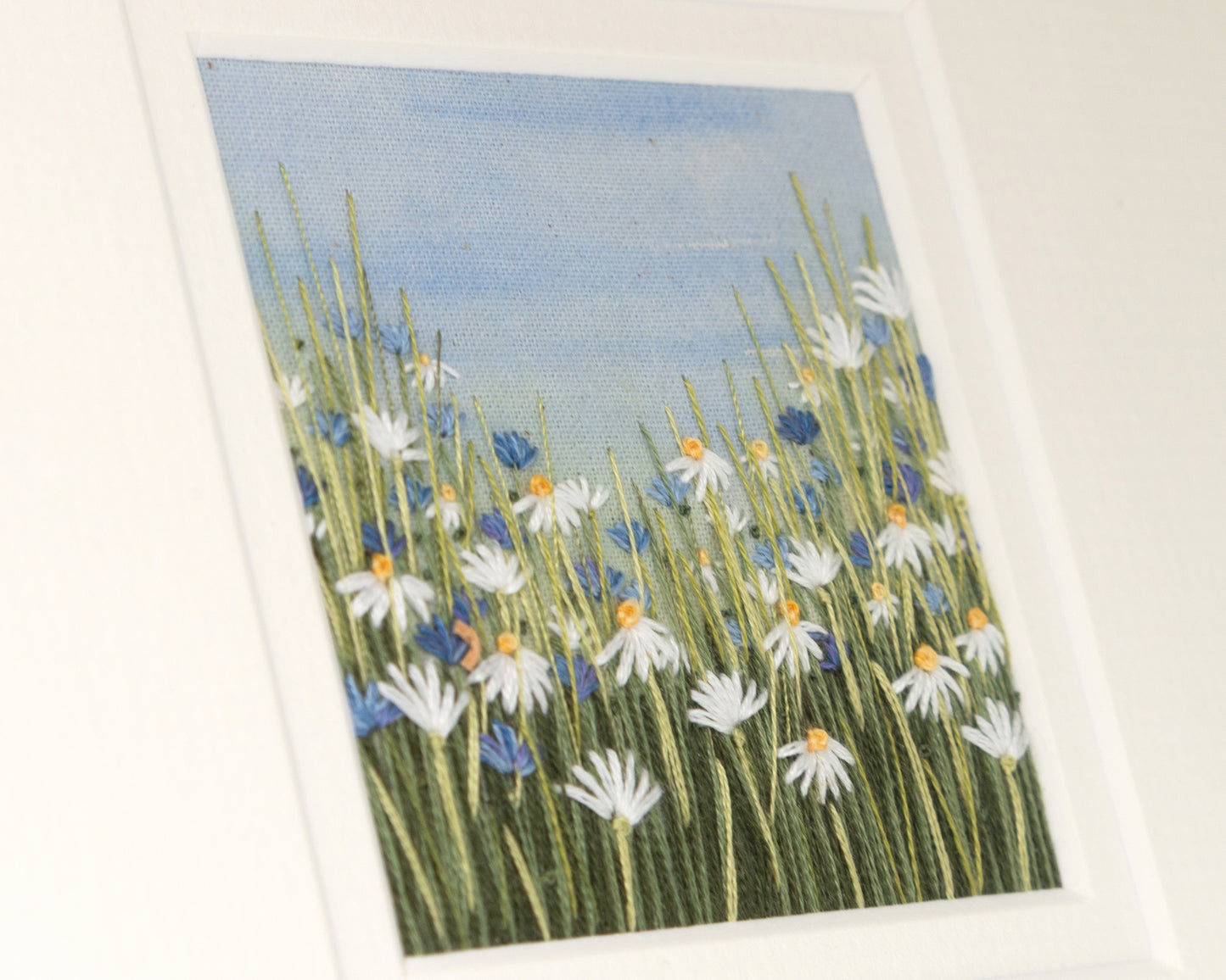 A pretty grass meadow full of flowering white daisies and blue cornflowers.