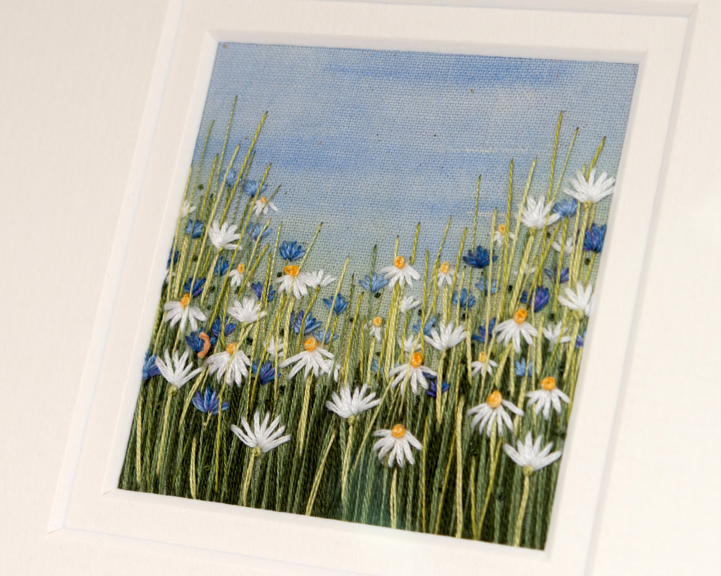 A mass of white daises and blue cornflowers nestle in amongst the grasses.