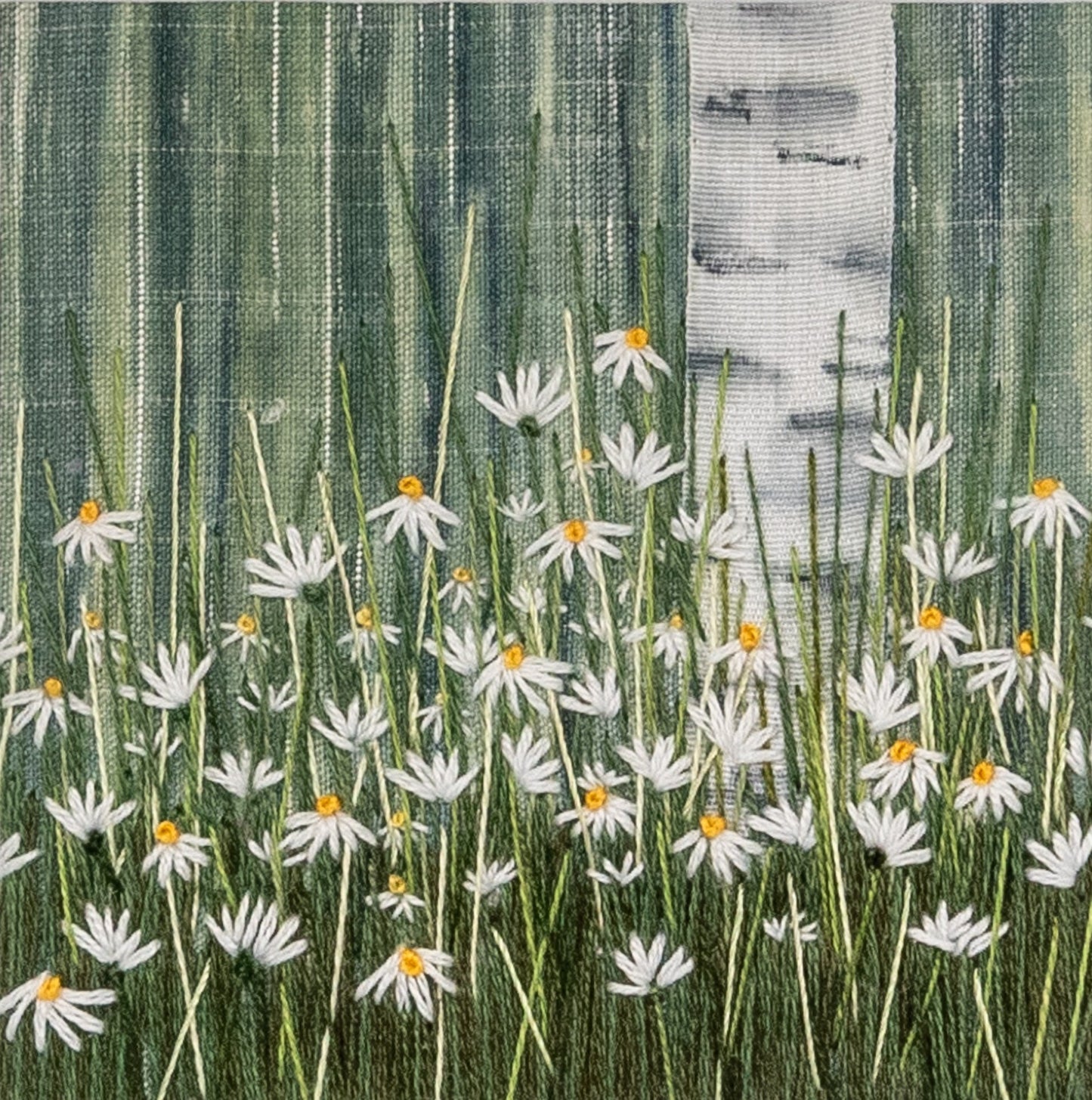 An silver birch trunk rises above the daises.