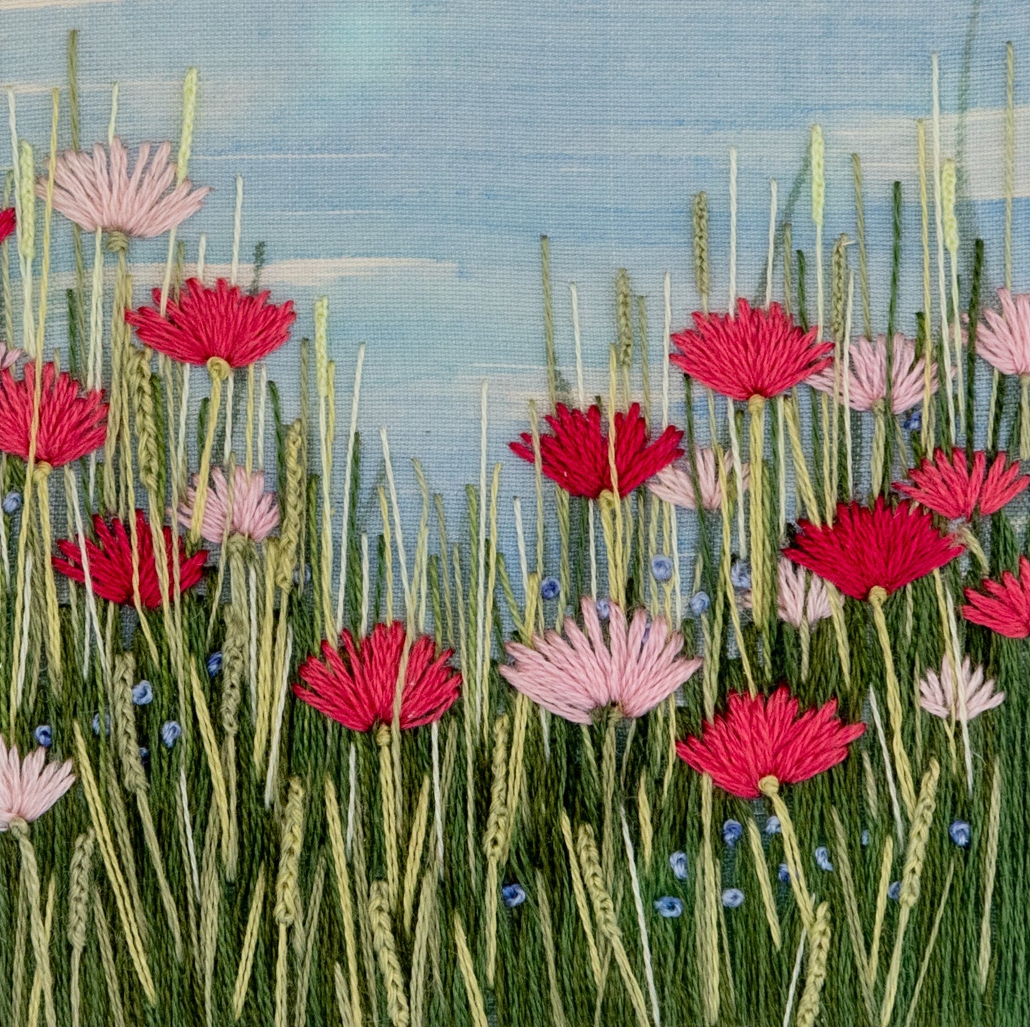 Rabbit's eye view of a flowering meadow of pink and blue flowers in the grasses.
