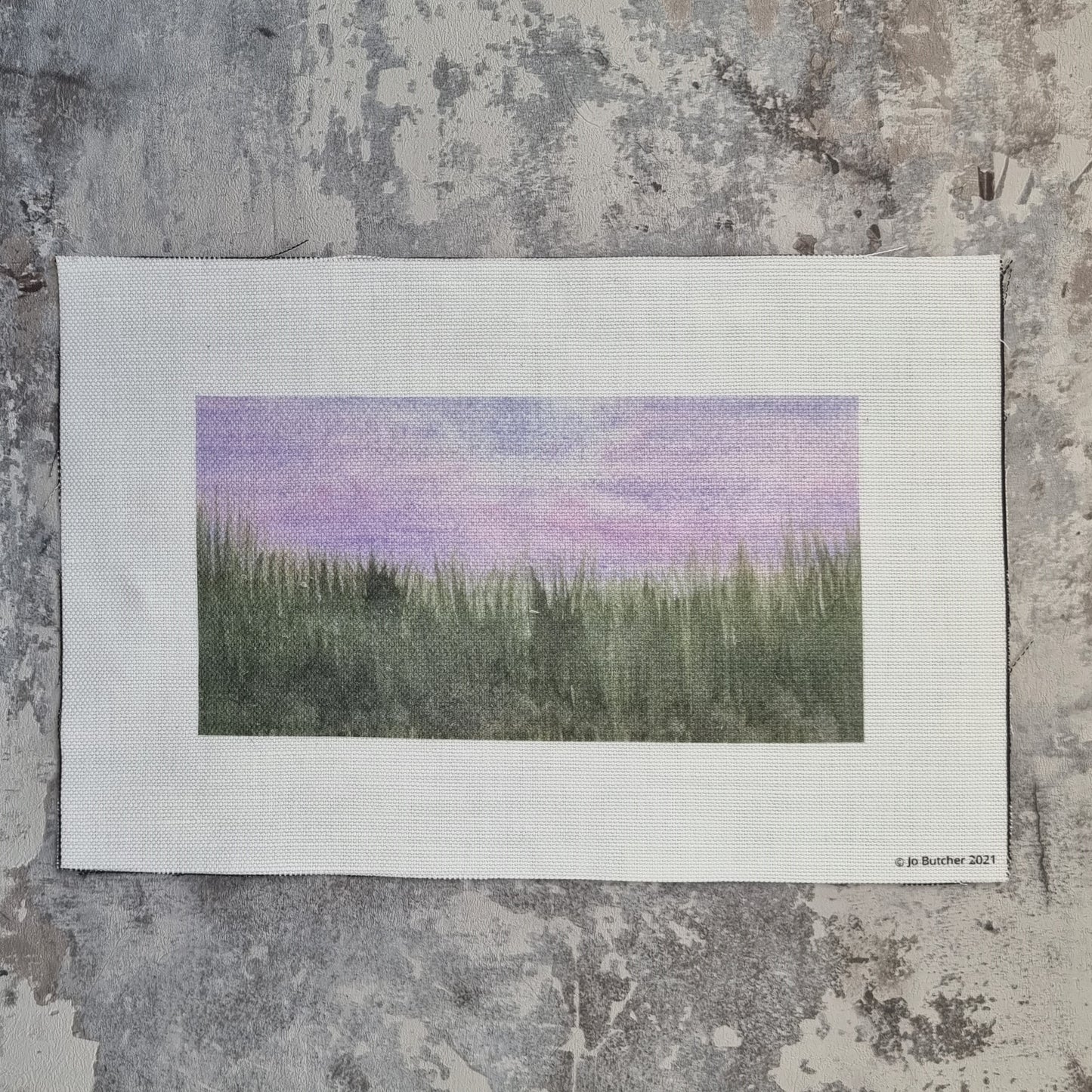 A rectangle of cotton linen with the upper half printed as sky and the lower half green ready for stitching the grasses and flowers over