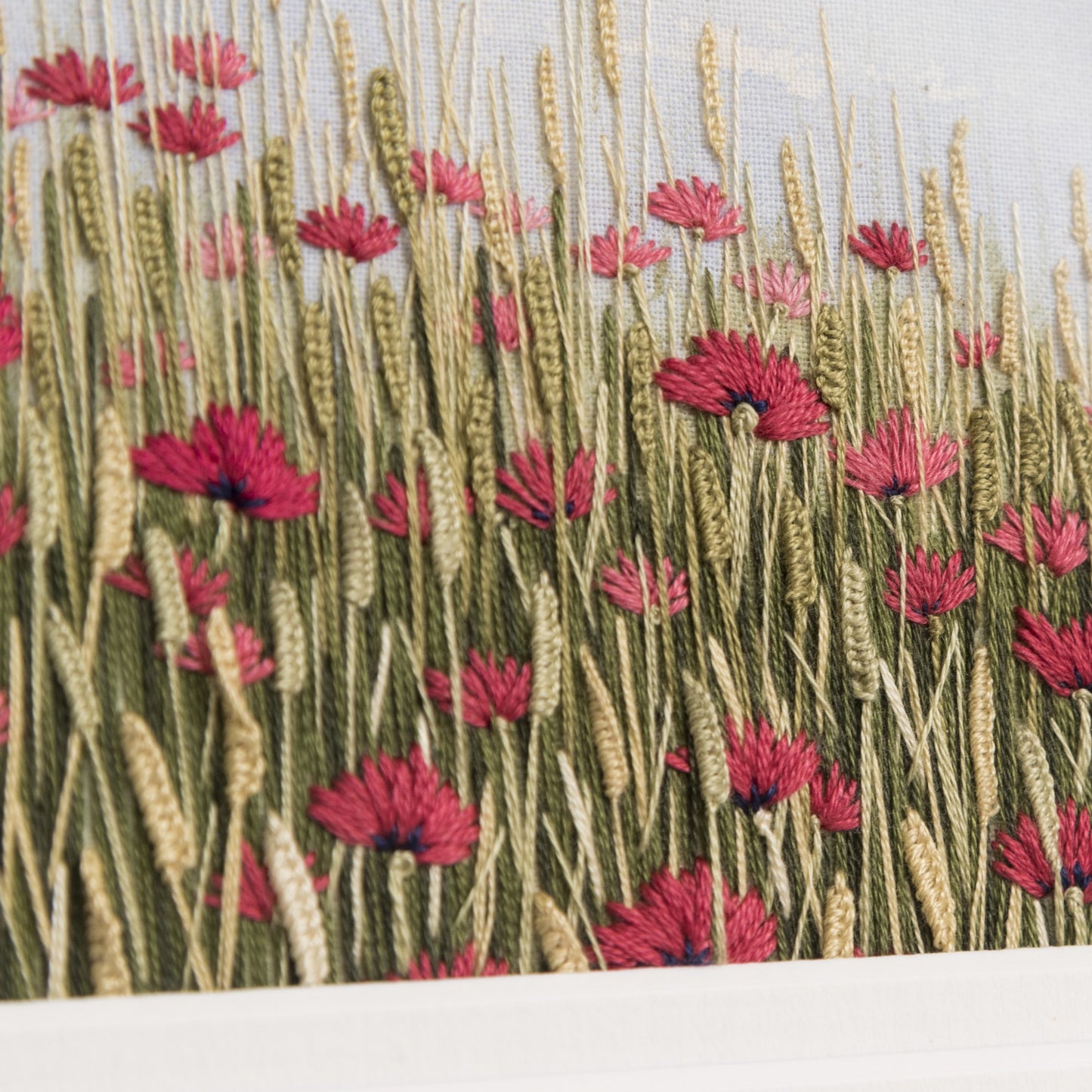 A close up of a a poppies amongst the ear of corn. A classic summer scene and one of remembrance.