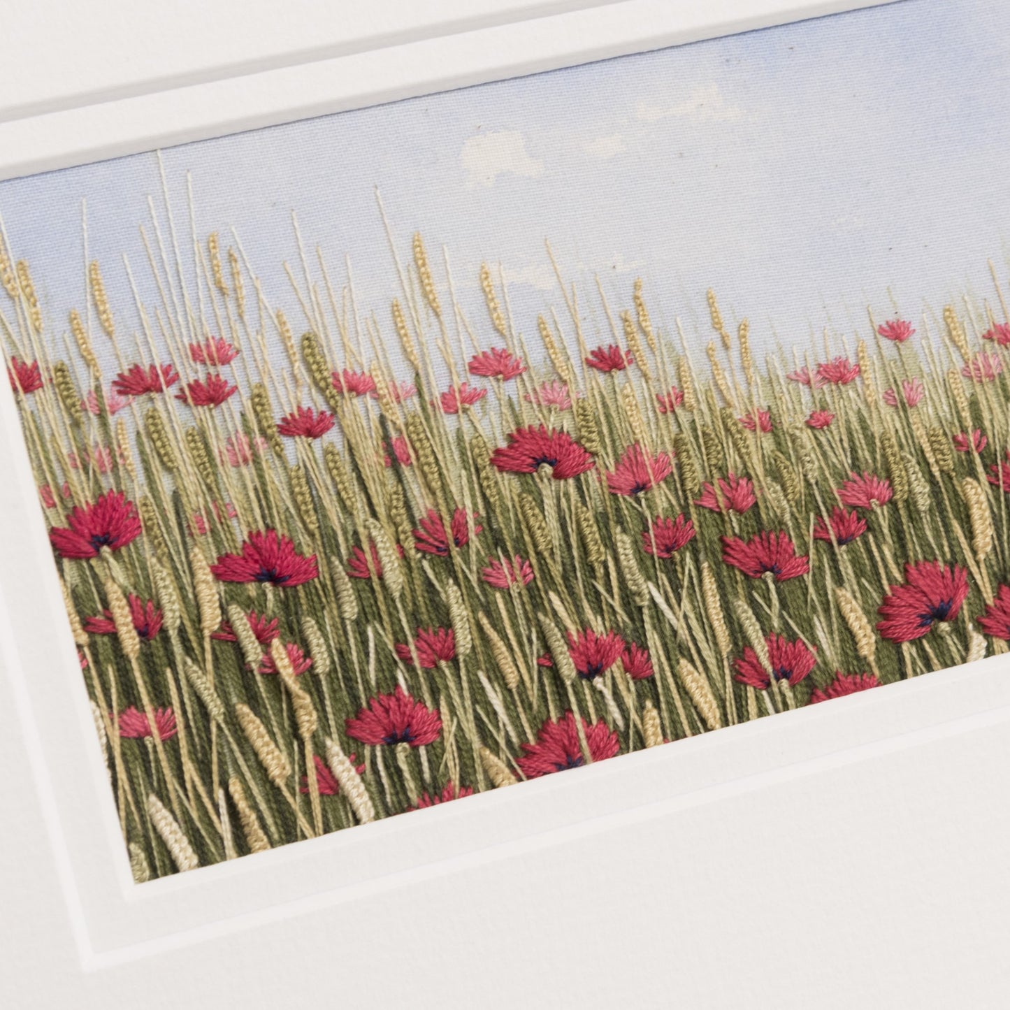 A scene of a poppies amongst the ear of corn. A classic summer scene and one of remembrance.