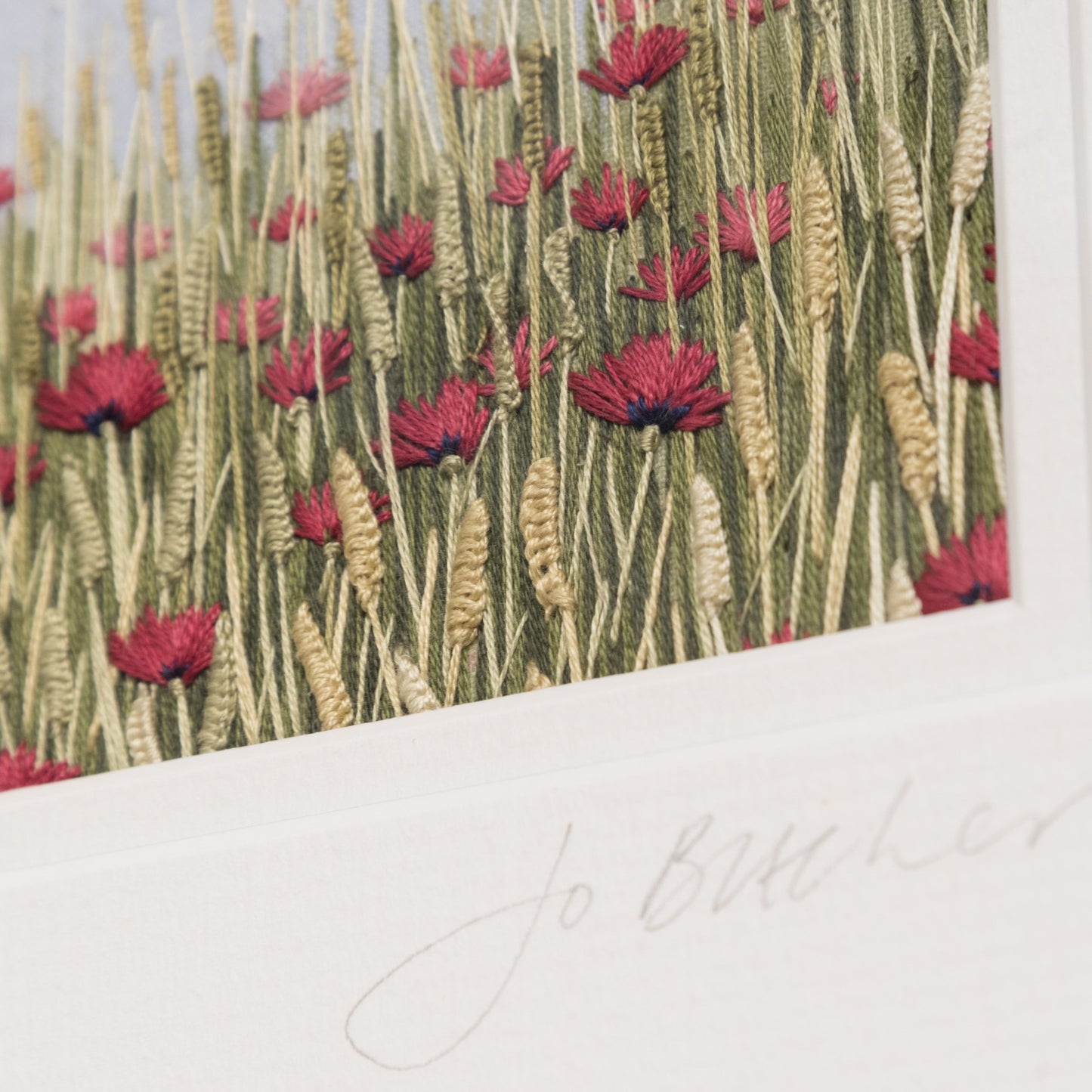 A close up of a a poppies amongst the ear of corn. A classic summer scene and one of remembrance.