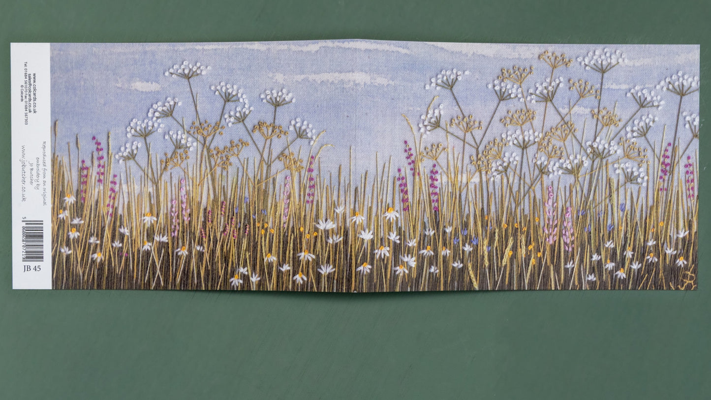 Rabbit's eye view of a flower meadow.