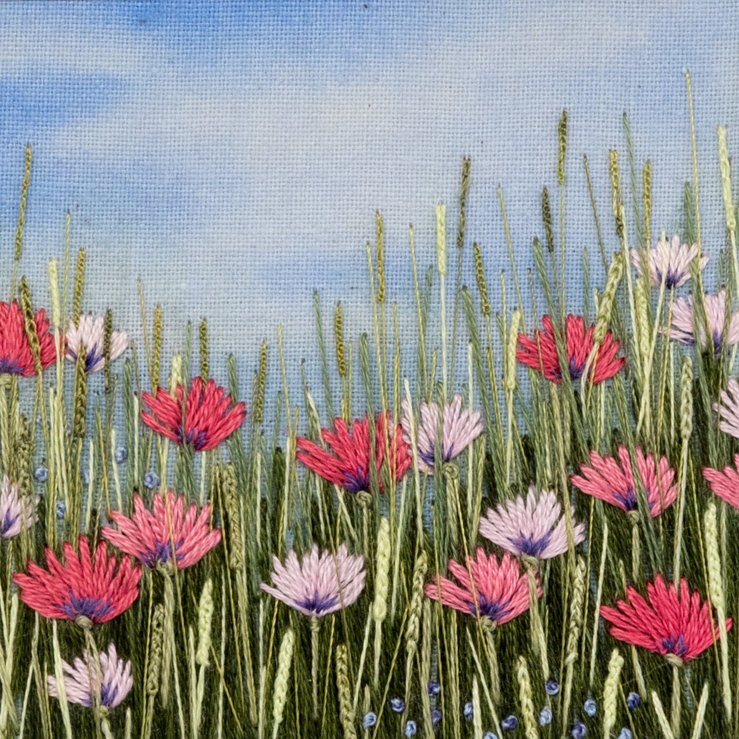 A grass meadow with a range of pink flowers and small blue flowers