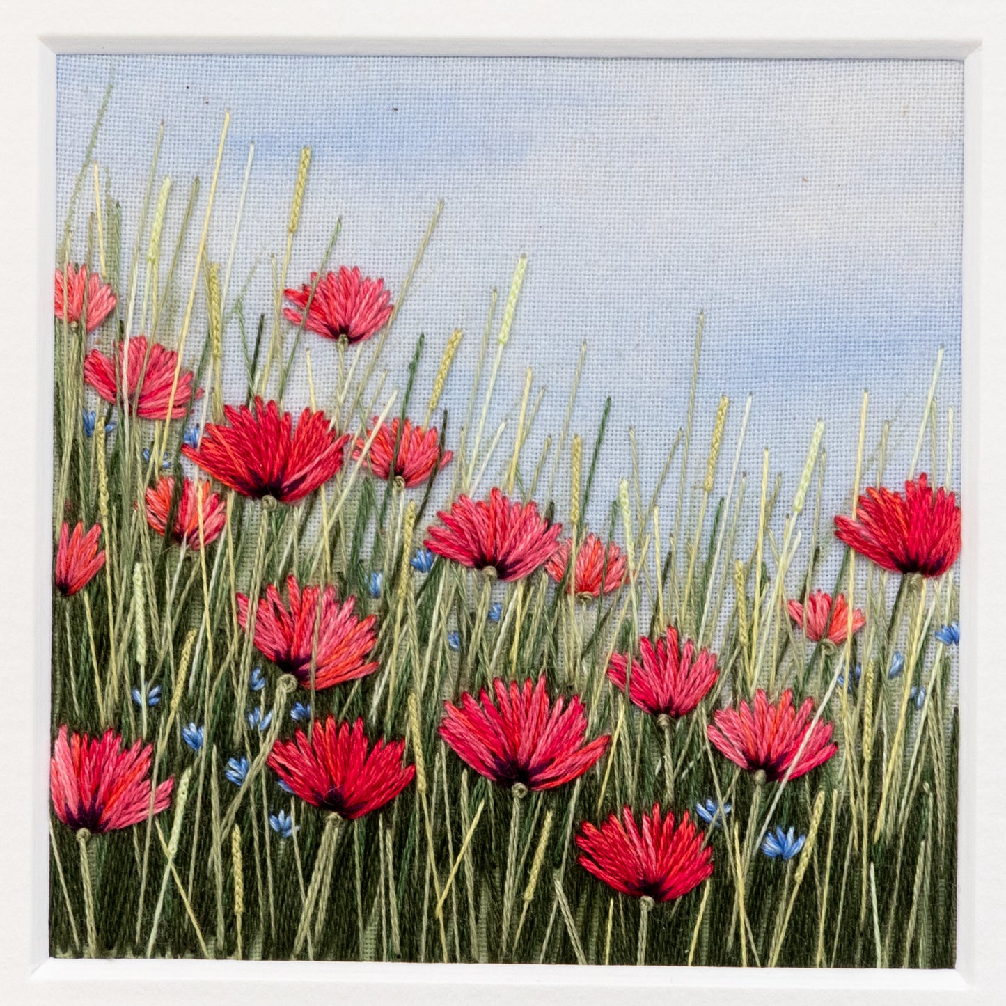 front view of the red/pink poppy meadow