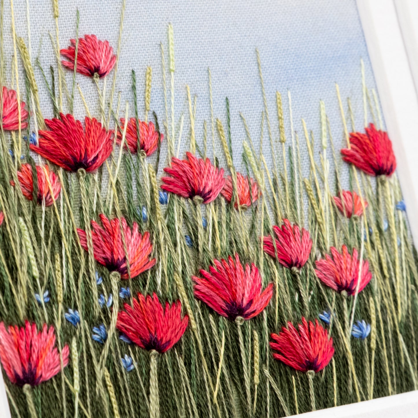 Close up of the poppy meadow