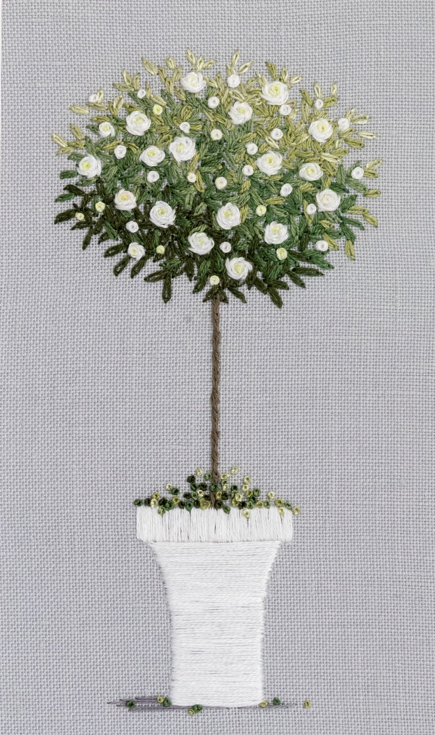 White roses and buds cover this standard rose tree in a white pot on a grey background.