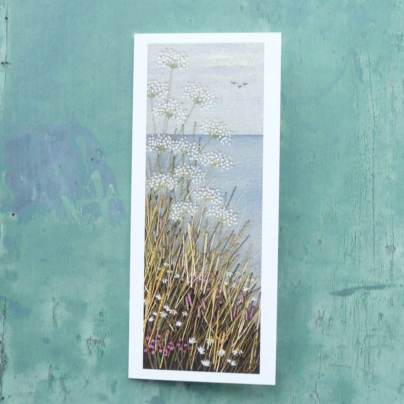 cliff top view looking out to sea with through wild flowers in the foreground.