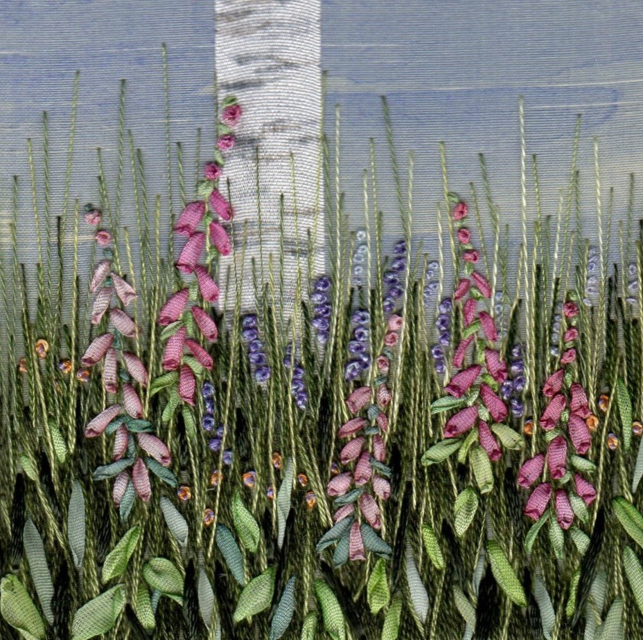 A silver birch trunk in amongst wild foxgloves and blue flower spires.