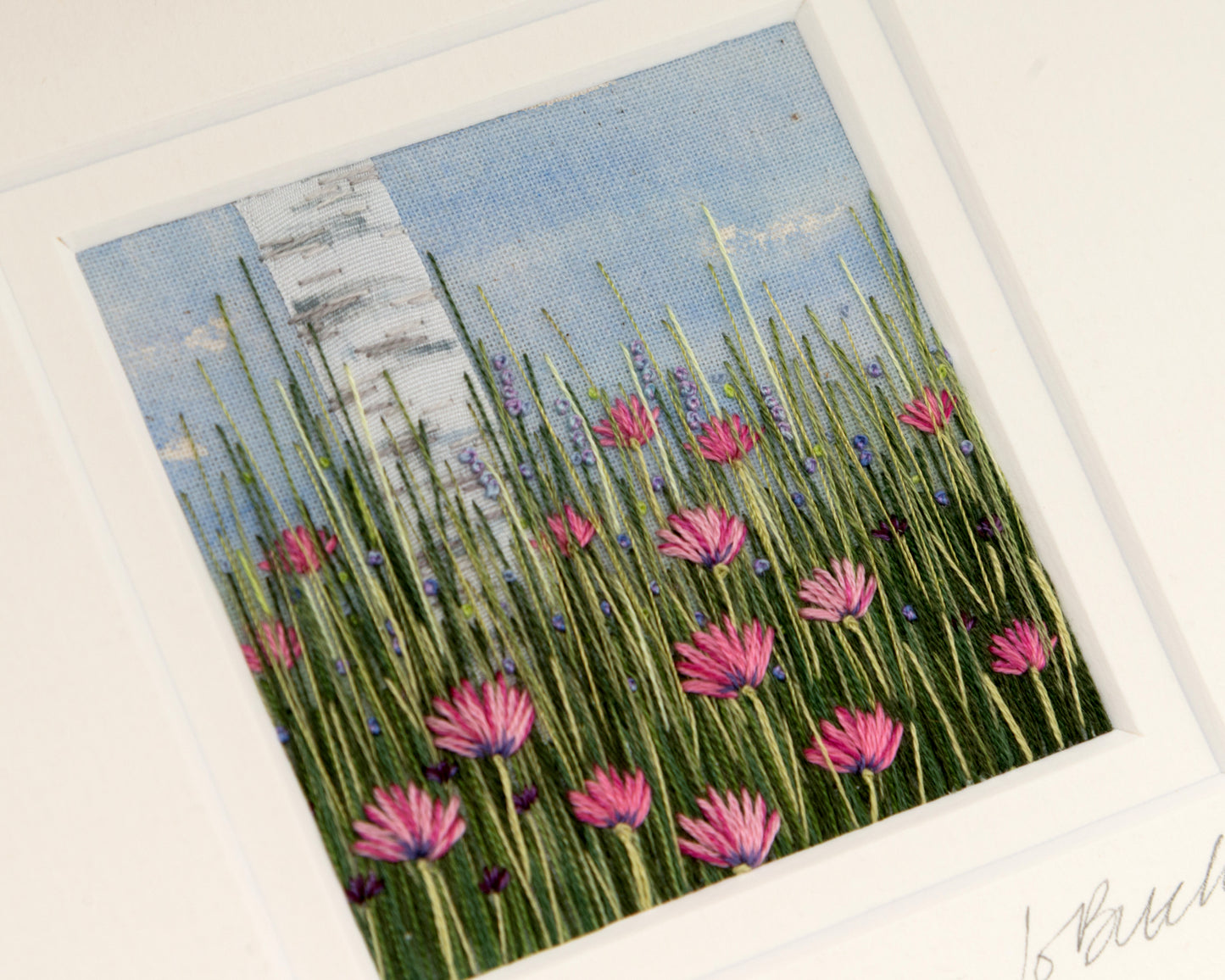 small deep purple and blue flowers are nestled in amongst the grass and pink flowers. The silver Birch Trunk rises out of the grasses.