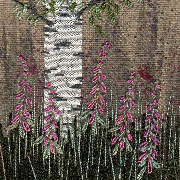 A shady scene beneath a silver birch tree  with a few pink foxglove spires rising from the dark grass