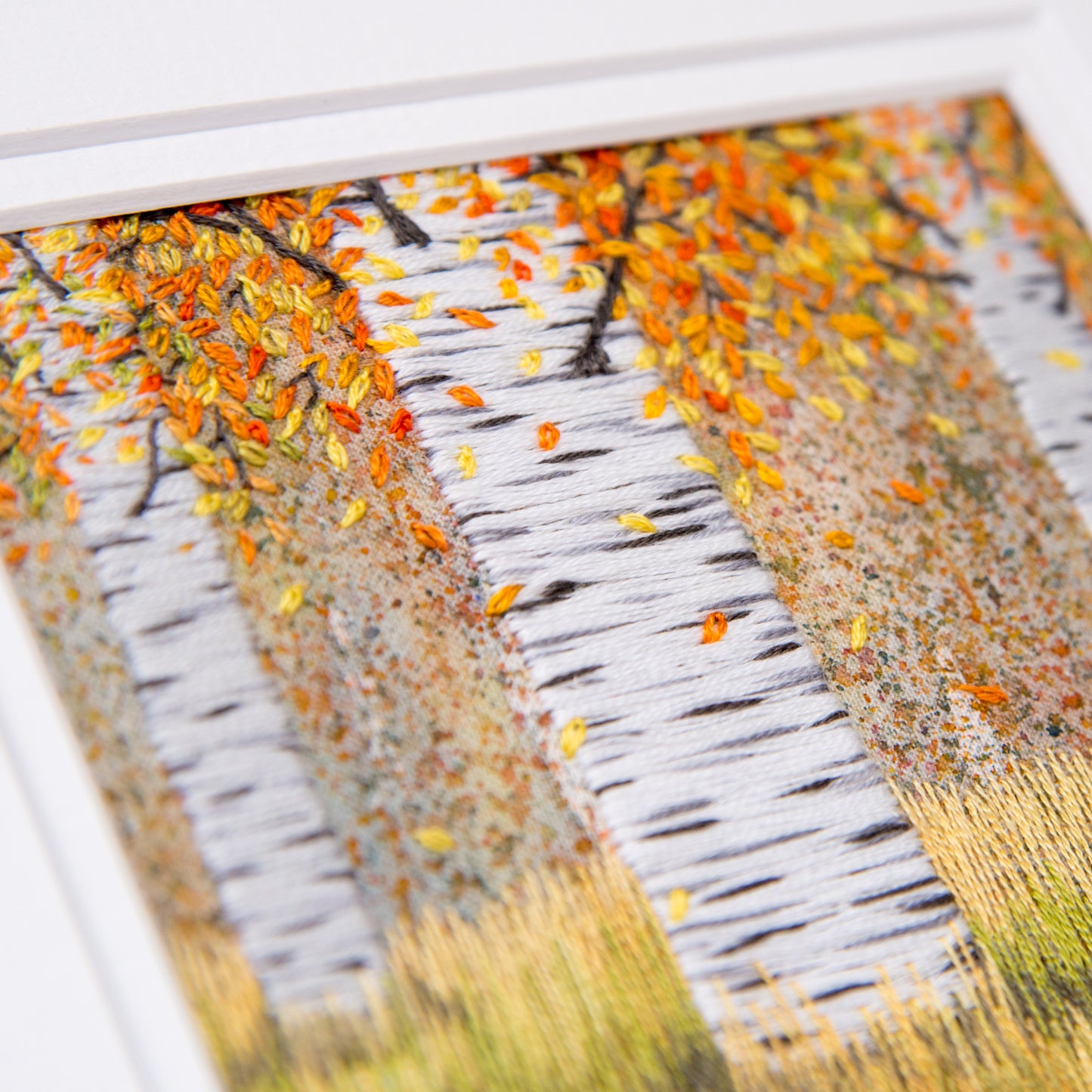 three silver birch trunks with autumn colour leaves falling to the grass below