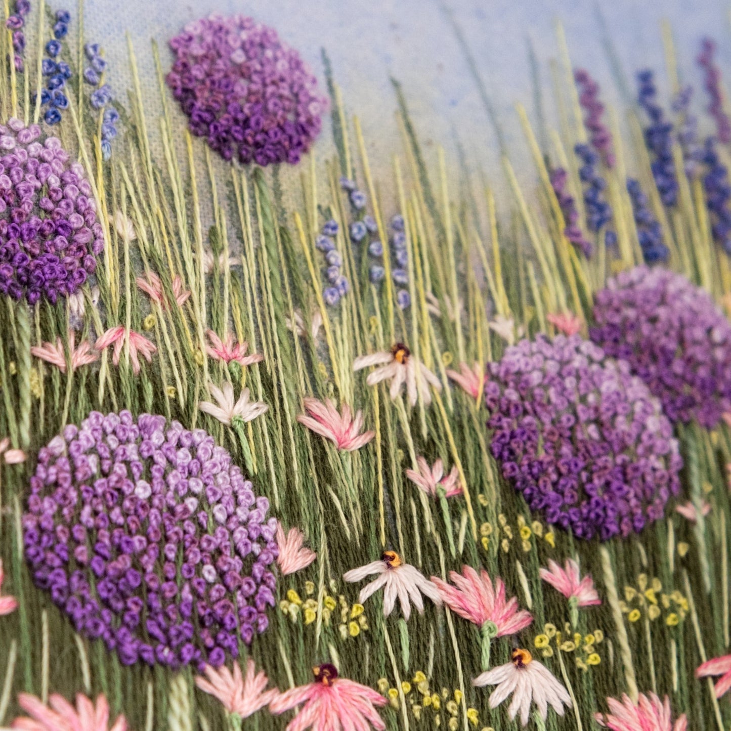 Several purple alliums nestle amongst the daisies and other flowers in the flower border