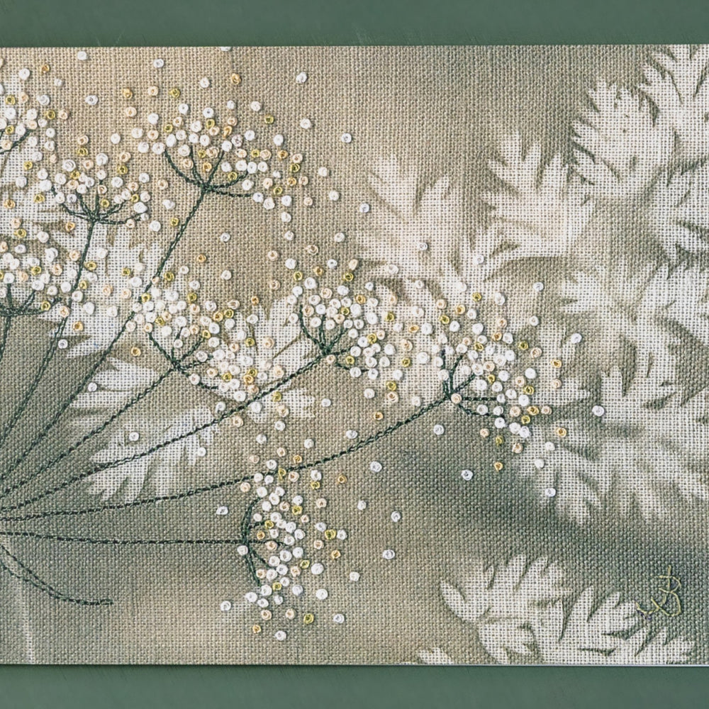 A cow parsley seed head on a painted background.