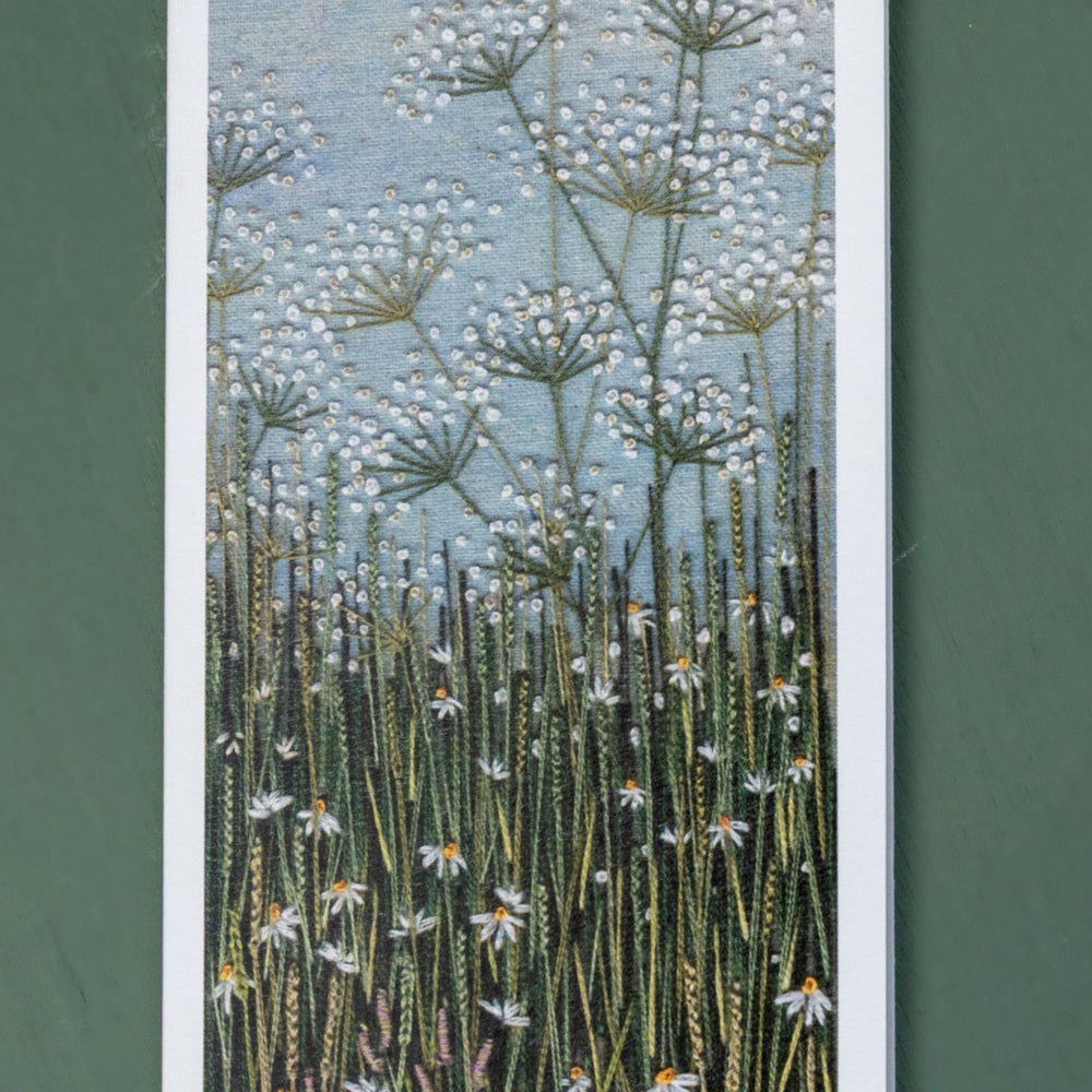 Upright card of cow parsley rising out of the grasses and daisies.