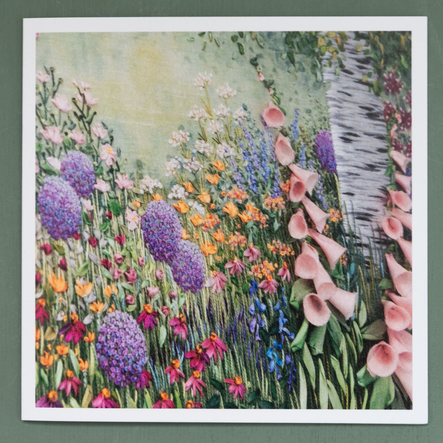 Colourful summer border with foxgloves and purple alliums with a silver birch rising above it.