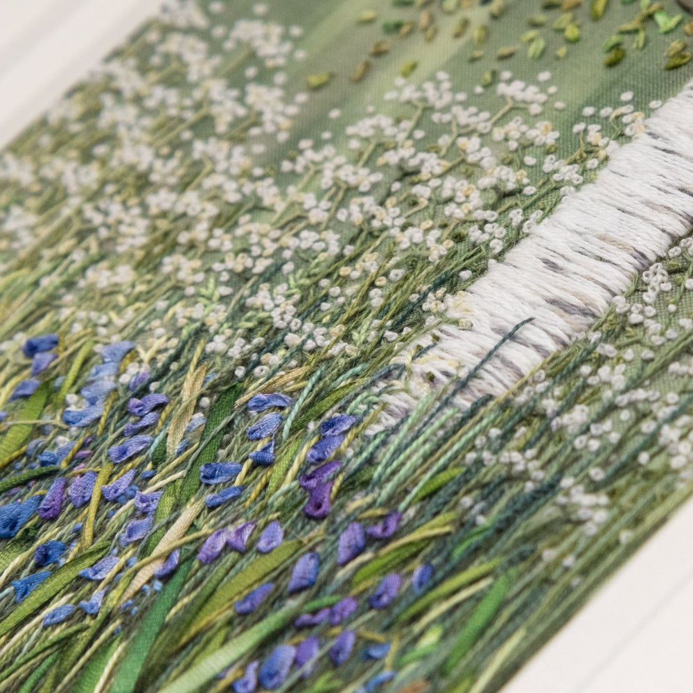 bluebell and cow parsley flowers sit amongst the grasses at the bottom of a silver birch tree.