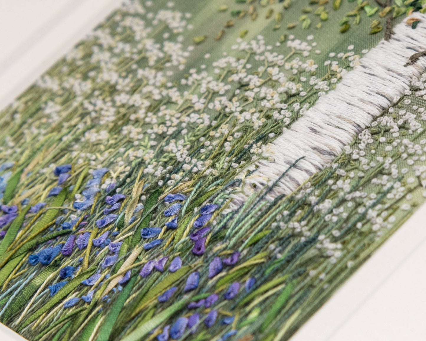bluebell and cow parsley flowers sit amongst the grasses at the bottom of a silver birch tree.
