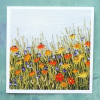 11-orange-daisy-meadow-card-