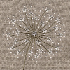 Wild Carrot – Beige Kit. Hand Embroidery Kit
