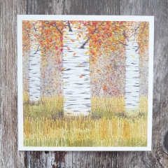 autumn-silver-birches