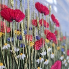 poppy-daisy-cornflower-meadow-04
